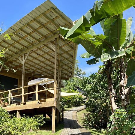 Eden Jungle Lodge Bocas del Toro Buitenkant foto