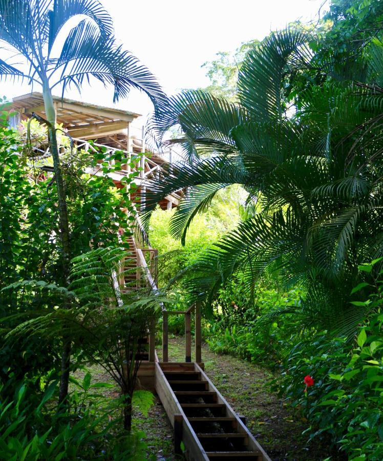 Eden Jungle Lodge Bocas del Toro Buitenkant foto