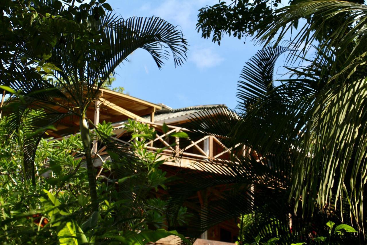 Eden Jungle Lodge Bocas del Toro Buitenkant foto