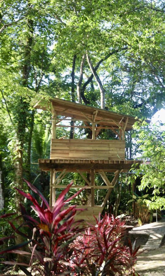 Eden Jungle Lodge Bocas del Toro Buitenkant foto