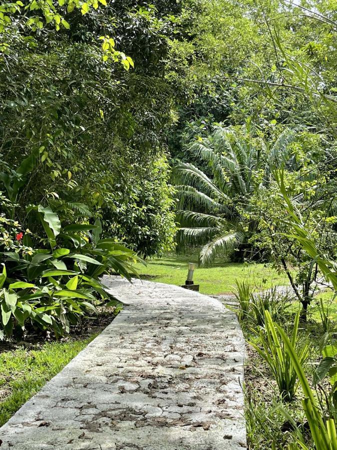Eden Jungle Lodge Bocas del Toro Buitenkant foto