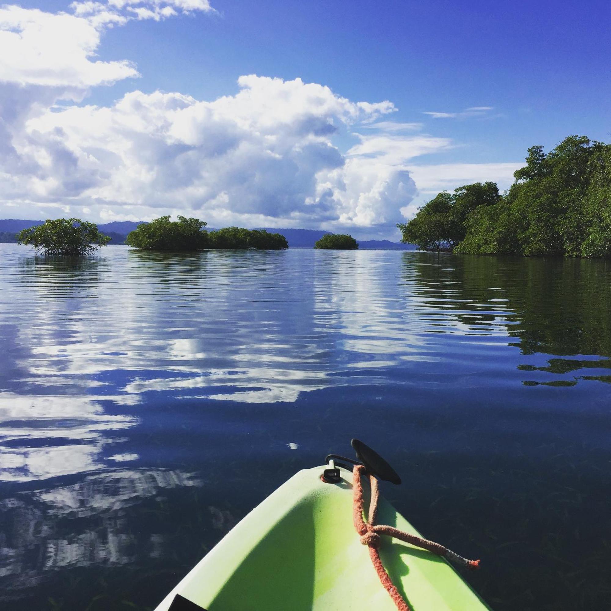 Eden Jungle Lodge Bocas del Toro Buitenkant foto