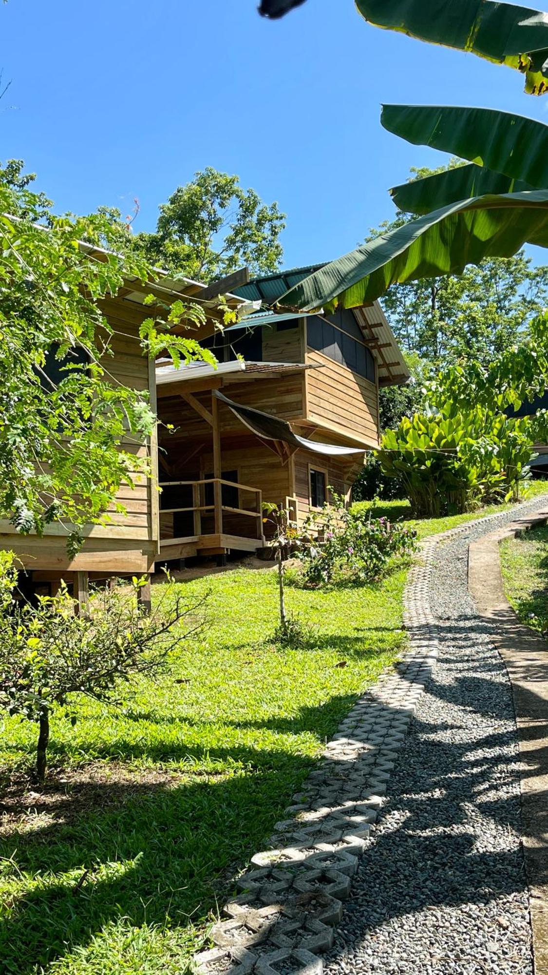 Eden Jungle Lodge Bocas del Toro Buitenkant foto