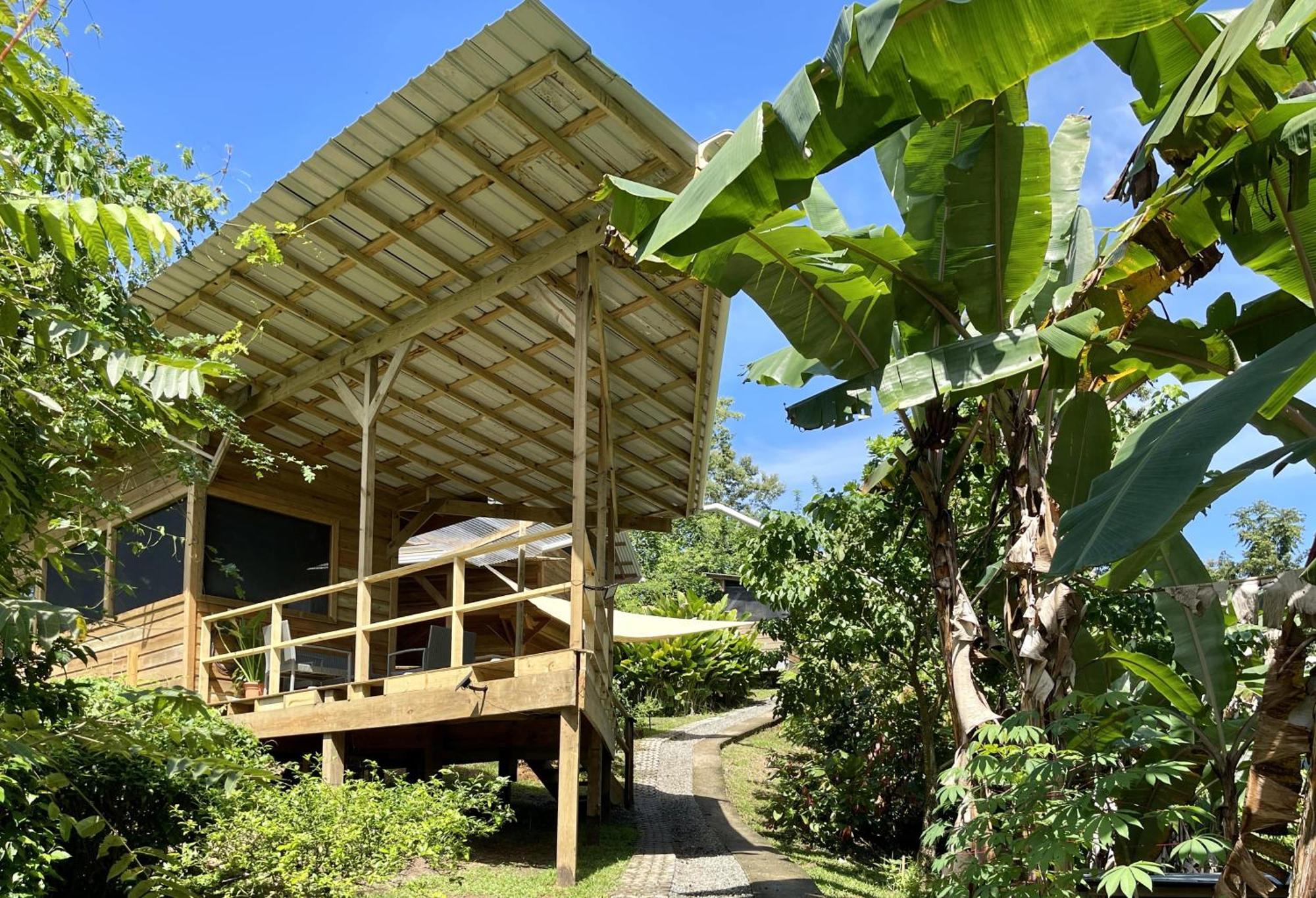 Eden Jungle Lodge Bocas del Toro Buitenkant foto